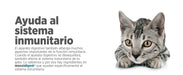 maxxidigest Probióticos, prebióticos e enzimas digestivas para gatos - Ajuda avançada à digestão felina e ao sistema imunitário, sem pó OGM - PetDoctors - Loja Online