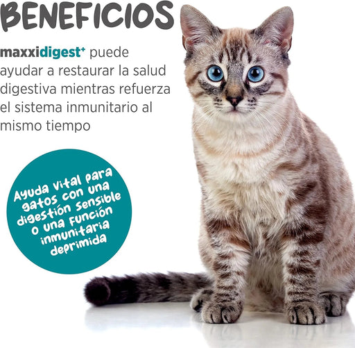 maxxidigest Probióticos, prebióticos e enzimas digestivas para gatos - Ajuda avançada à digestão felina e ao sistema imunitário, sem pó OGM - PetDoctors - Loja Online