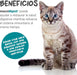 maxxidigest Probióticos, prebióticos e enzimas digestivas para gatos - Ajuda avançada à digestão felina e ao sistema imunitário, sem pó OGM - PetDoctors - Loja Online