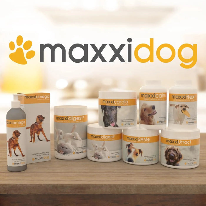 maxxiflex+ Suplemento avançado para as articulações do cão - glucosamina, condroitina, MSM, ácido hialurónico , garra do , bromelina, açafrão - PetDoctors - Loja Online
