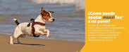 maxxiflex+ Suplemento avançado para as articulações do cão - glucosamina, condroitina, MSM, ácido hialurónico , garra do , bromelina, açafrão - PetDoctors - Loja Online