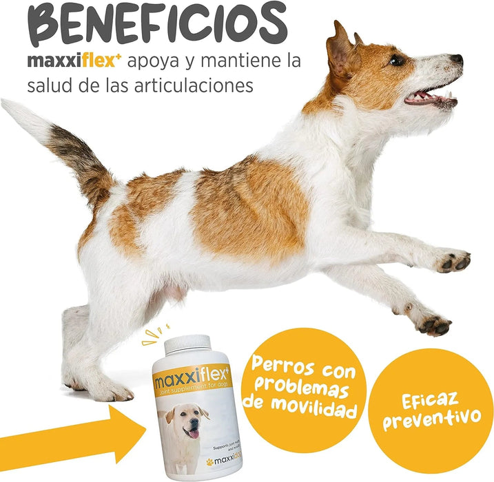 maxxiflex+ Suplemento avançado para as articulações do cão - glucosamina, condroitina, MSM, ácido hialurónico , garra do , bromelina, açafrão - PetDoctors - Loja Online