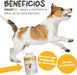 maxxiflex+ Suplemento avançado para as articulações do cão - glucosamina, condroitina, MSM, ácido hialurónico , garra do , bromelina, açafrão - PetDoctors - Loja Online