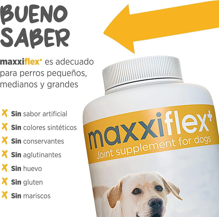 maxxiflex+ Suplemento avançado para as articulações do cão - glucosamina, condroitina, MSM, ácido hialurónico , garra do , bromelina, açafrão - PetDoctors - Loja Online
