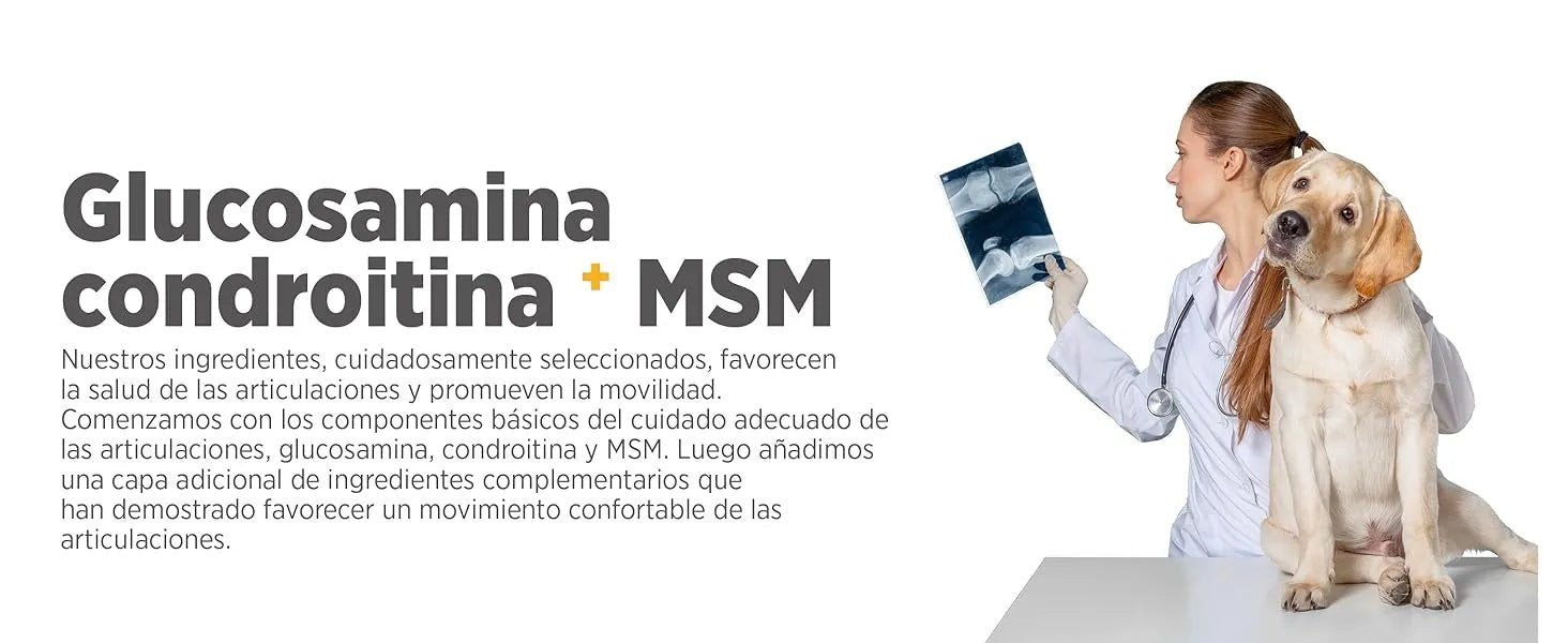 maxxiflex+ Suplemento avançado para as articulações do cão - glucosamina, condroitina, MSM, ácido hialurónico , garra do , bromelina, açafrão - PetDoctors - Loja Online