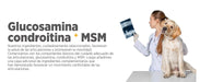 maxxiflex+ Suplemento avançado para as articulações do cão - glucosamina, condroitina, MSM, ácido hialurónico , garra do , bromelina, açafrão - PetDoctors - Loja Online