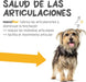 maxxiflex+ Suplemento avançado para as articulações do cão - glucosamina, condroitina, MSM, ácido hialurónico , garra do , bromelina, açafrão - PetDoctors - Loja Online