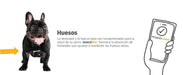 maxxiflex+ Suplemento avançado para as articulações do cão - glucosamina, condroitina, MSM, ácido hialurónico , garra do , bromelina, açafrão - PetDoctors - Loja Online
