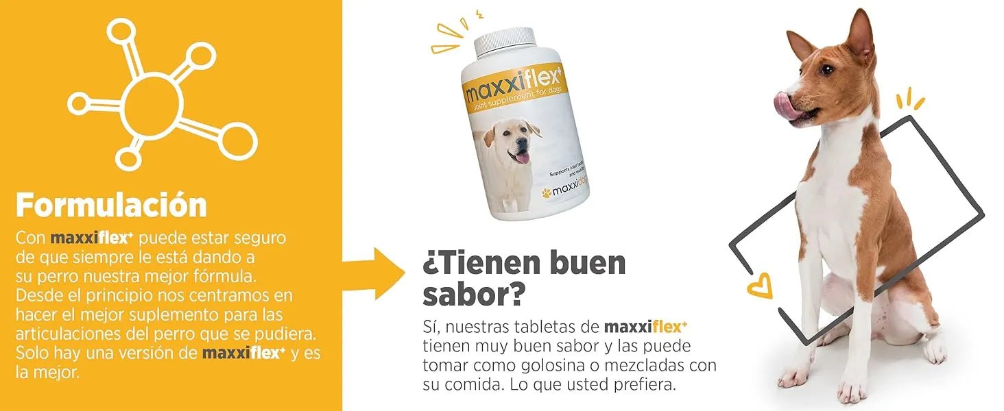 maxxiflex+ Suplemento avançado para as articulações do cão - glucosamina, condroitina, MSM, ácido hialurónico , garra do , bromelina, açafrão - PetDoctors - Loja Online