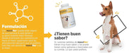 maxxiflex+ Suplemento avançado para as articulações do cão - glucosamina, condroitina, MSM, ácido hialurónico , garra do , bromelina, açafrão - PetDoctors - Loja Online