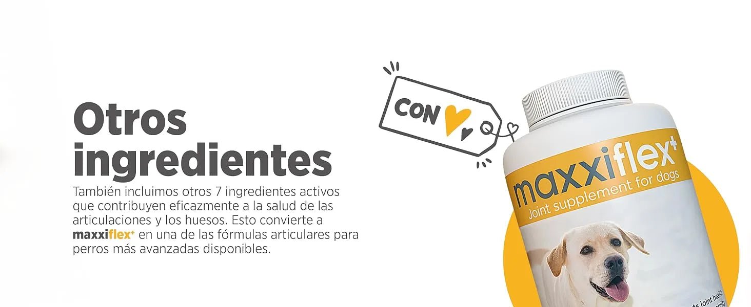 maxxiflex+ Suplemento avançado para as articulações do cão - glucosamina, condroitina, MSM, ácido hialurónico , garra do , bromelina, açafrão - PetDoctors - Loja Online