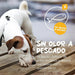 maxxiomega Suplemento em óleo para cães, com bomba de dosagem para fácil administração, ómega 3, 6, 9 e vitaminas A, D, E e biotina | para pele saudável e pêlo brilhante (296 ml) - PetDoctors - Loja Online