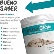maxxisame Suplemento avançado para gatos – Ajuda ao fígado felino, articulações e saúde cognitiva – 90 g de pó - PetDoctors - Loja Online