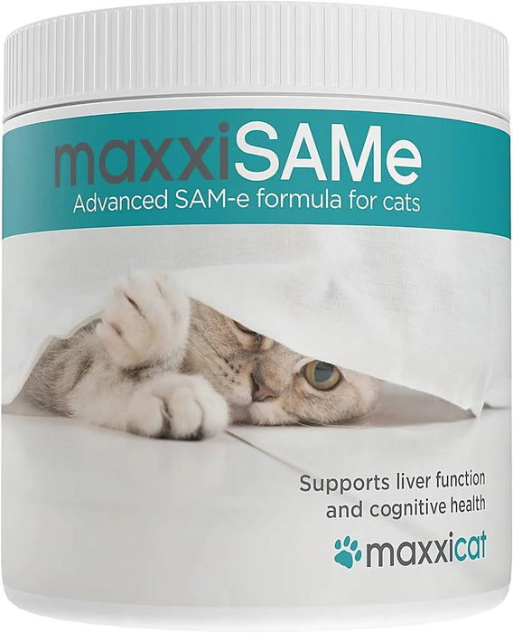 maxxisame Suplemento avançado para gatos – Ajuda ao fígado felino, articulações e saúde cognitiva – 90 g de pó - PetDoctors - Loja Online