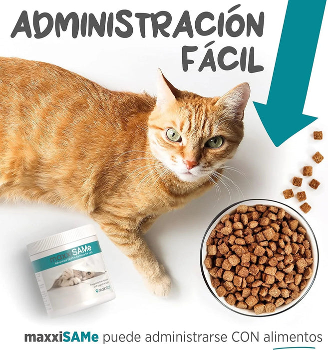 maxxisame Suplemento avançado para gatos – Ajuda ao fígado felino, articulações e saúde cognitiva – 90 g de pó - PetDoctors - Loja Online
