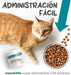maxxisame Suplemento avançado para gatos – Ajuda ao fígado felino, articulações e saúde cognitiva – 90 g de pó - PetDoctors - Loja Online