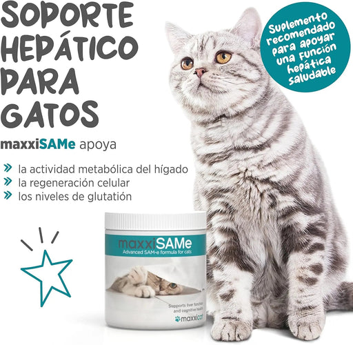 maxxisame Suplemento avançado para gatos – Ajuda ao fígado felino, articulações e saúde cognitiva – 90 g de pó - PetDoctors - Loja Online
