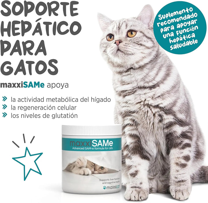 maxxisame Suplemento avançado para gatos – Ajuda ao fígado felino, articulações e saúde cognitiva – 90 g de pó - PetDoctors - Loja Online