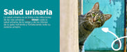 maxxiUtract Suplemento urinário e vesical para gatos - Ajuda à saúde do sistema urinário, controlo da bexiga e recorrência de ITU - com mirtios (em pó: 90 gramas) - PetDoctors - Loja Online