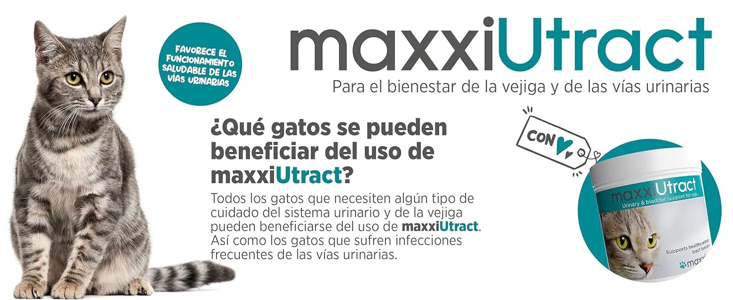 maxxiUtract Suplemento urinário e vesical para gatos - Ajuda à saúde do sistema urinário, controlo da bexiga e recorrência de ITU - com mirtios (em pó: 90 gramas) - PetDoctors - Loja Online