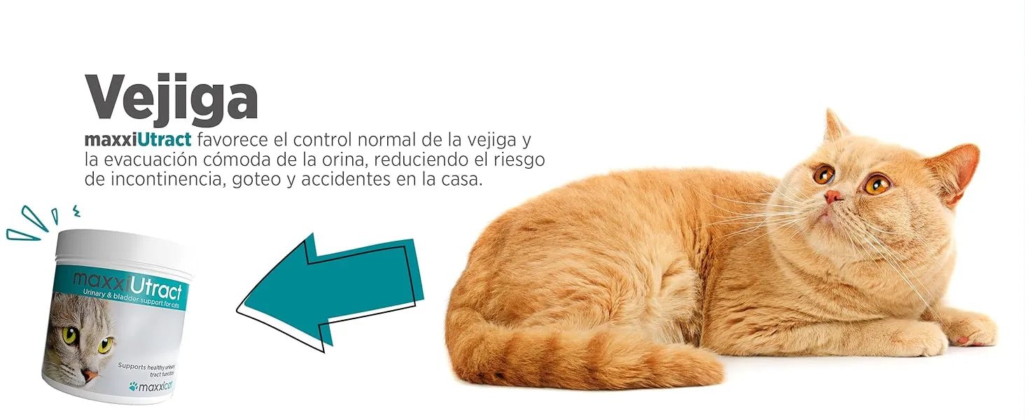 maxxiUtract Suplemento urinário e vesical para gatos - Ajuda à saúde do sistema urinário, controlo da bexiga e recorrência de ITU - com mirtios (em pó: 90 gramas) - PetDoctors - Loja Online