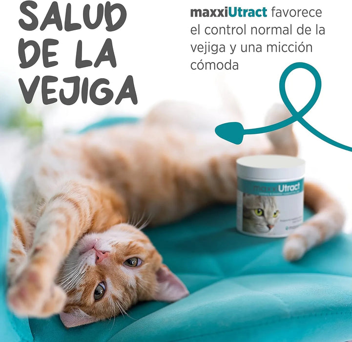 maxxiUtract Suplemento urinário e vesical para gatos - Ajuda à saúde do sistema urinário, controlo da bexiga e recorrência de ITU - com mirtios (em pó: 90 gramas) - PetDoctors - Loja Online