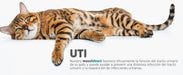 maxxiUtract Suplemento urinário e vesical para gatos - Ajuda à saúde do sistema urinário, controlo da bexiga e recorrência de ITU - com mirtios (em pó: 90 gramas) - PetDoctors - Loja Online