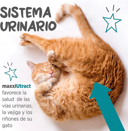 maxxiUtract Suplemento urinário e vesical para gatos - Ajuda à saúde do sistema urinário, controlo da bexiga e recorrência de ITU - com mirtios (em pó: 90 gramas) - PetDoctors - Loja Online