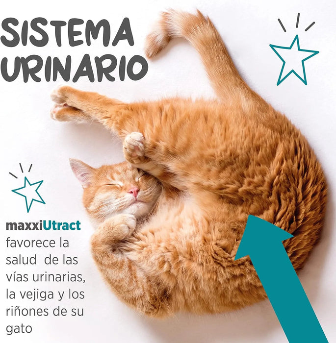 maxxiUtract Suplemento urinário e vesical para gatos - Ajuda à saúde do sistema urinário, controlo da bexiga e recorrência de ITU - com mirtios (em pó: 90 gramas) - PetDoctors - Loja Online