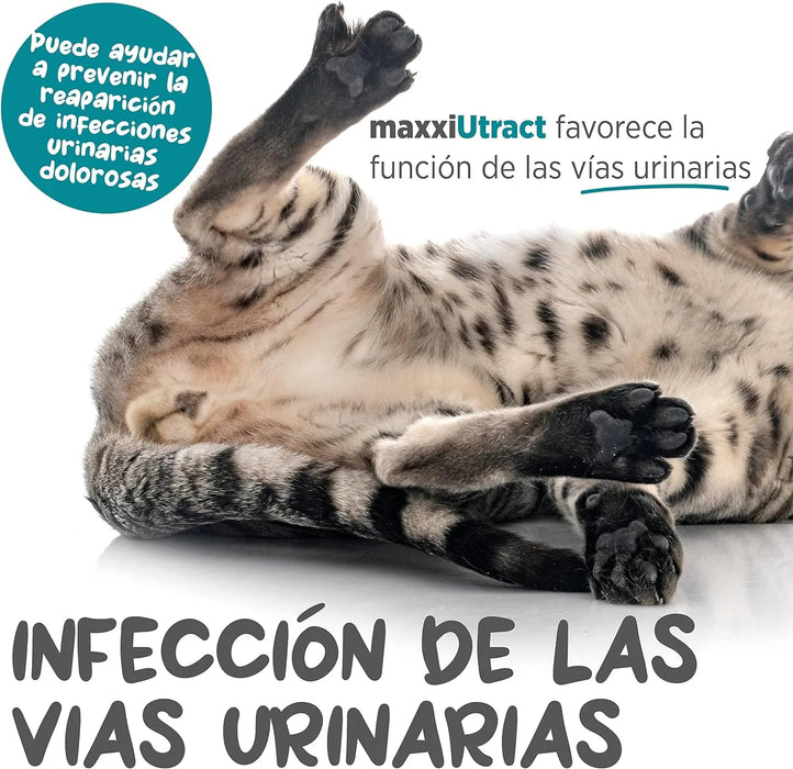 maxxiUtract Suplemento urinário e vesical para gatos - Ajuda à saúde do sistema urinário, controlo da bexiga e recorrência de ITU - com mirtios (em pó: 90 gramas) - PetDoctors - Loja Online