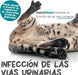 maxxiUtract Suplemento urinário e vesical para gatos - Ajuda à saúde do sistema urinário, controlo da bexiga e recorrência de ITU - com mirtios (em pó: 90 gramas) - PetDoctors - Loja Online