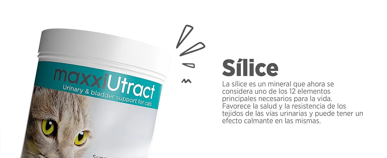 maxxiUtract Suplemento urinário e vesical para gatos - Ajuda à saúde do sistema urinário, controlo da bexiga e recorrência de ITU - com mirtios (em pó: 90 gramas) - PetDoctors - Loja Online