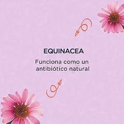 MENFORSAN INTESTINOS Alimento complementar líquido para cães e gatos com problemas intestinais | Melhora as digestões | Evita parasitas internos | 120 ml - PetDoctors - Loja Online