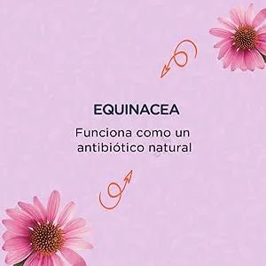MENFORSAN INTESTINOS Alimento complementar líquido para cães e gatos com problemas intestinais | Melhora as digestões | Evita parasitas internos | 120 ml - PetDoctors - Loja Online