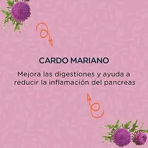 MENFORSAN INTESTINOS Alimento complementar líquido para cães e gatos com problemas intestinais | Melhora as digestões | Evita parasitas internos | 120 ml - PetDoctors - Loja Online