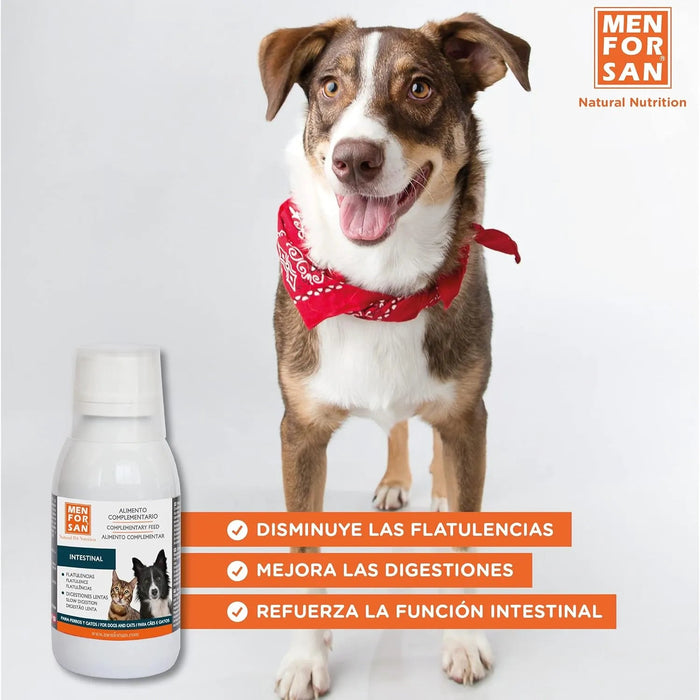 MENFORSAN INTESTINOS Alimento complementar líquido para cães e gatos com problemas intestinais | Melhora as digestões | Evita parasitas internos | 120 ml - PetDoctors - Loja Online
