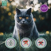 MENFORSAN Pack de 4 Produtos anti - parasitários para Gatos - 4 Produtos repelentes: Coleira, Champô, Spray e 2 Unidades de pipetas Anti Insectos - PetDoctors - Loja Online