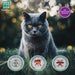 MENFORSAN Pack de 4 Produtos anti - parasitários para Gatos - 4 Produtos repelentes: Coleira, Champô, Spray e 2 Unidades de pipetas Anti Insectos - PetDoctors - Loja Online