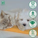 MENFORSAN para Limpeza de Orelhas de Cães e Gatos - 125 ML - PetDoctors - Loja Online