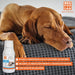 MENFORSAN RELAX Alimento complementar líquido para cães e gatos (120 ml) - PetDoctors - Loja Online