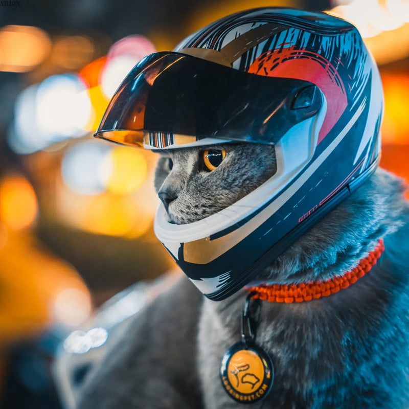 Mini - Capacete para Cães ou Gatos - PetDoctors - Loja Online
