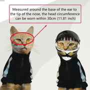 Mini - Capacete para Cães ou Gatos - PetDoctors - Loja Online