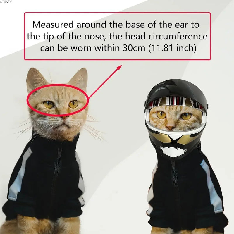 Mini - Capacete para Cães ou Gatos - PetDoctors - Loja Online