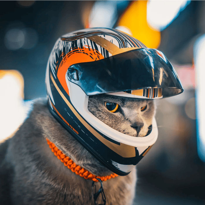 Mini - Capacete para Cães ou Gatos - PetDoctors - Loja Online