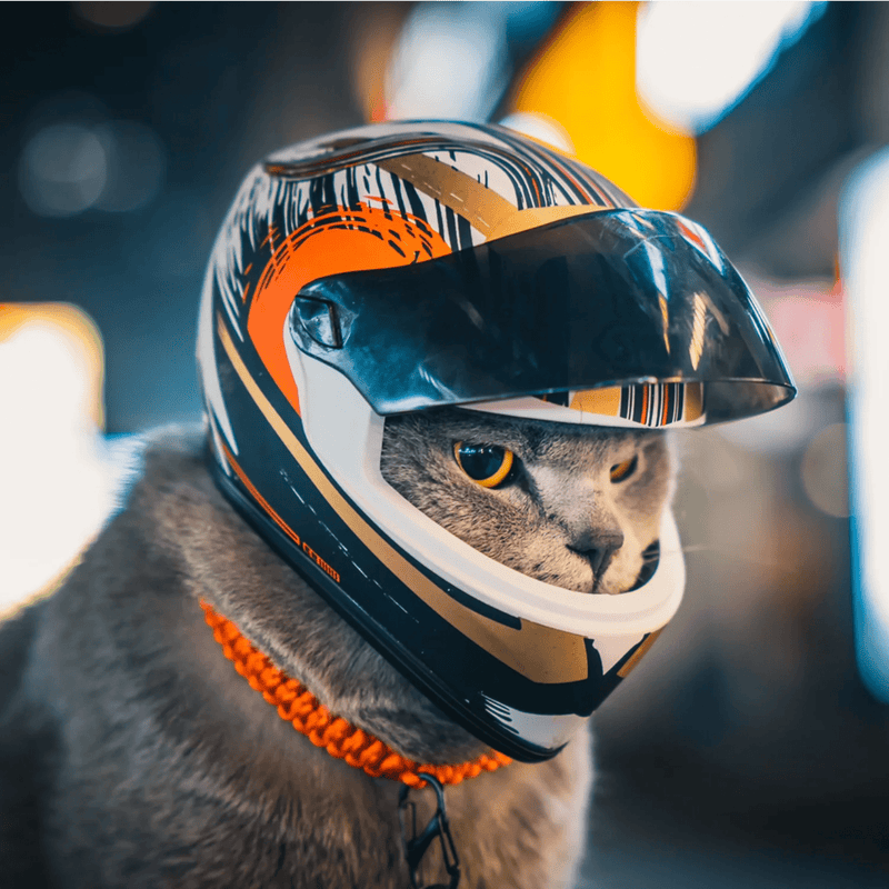 Mini - Capacete para Cães ou Gatos - PetDoctors - Loja Online