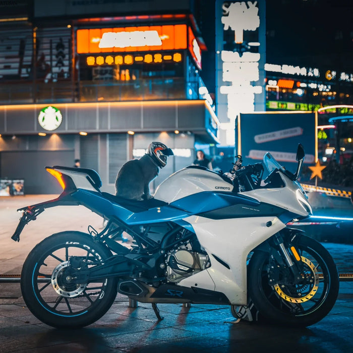 Mini - Capacete para Cães ou Gatos - PetDoctors - Loja Online