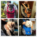 Mochila Transportadora para Cães de Raças Pequenas ou Gatos - PetDoctors - Loja Online