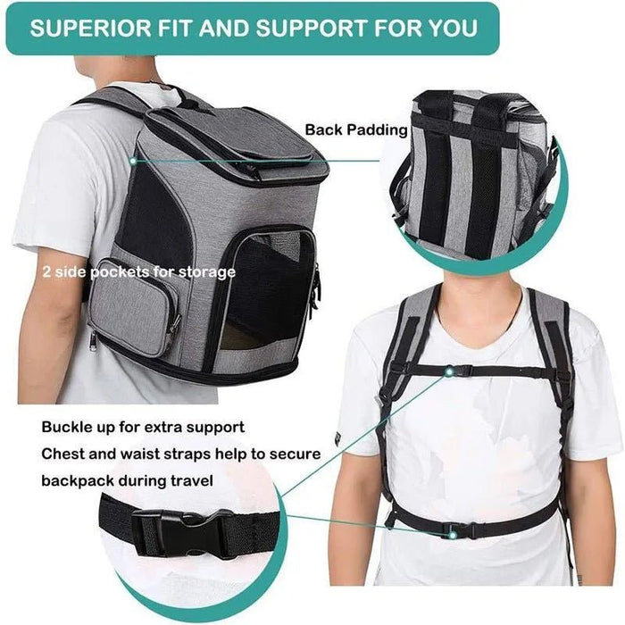 Mochila Transportadora para Cães Pequenos ou Gatos - PetDoctors - Loja Online