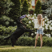 MOOIZA Biotic Probio – Probiotico cães e gatos, flora intestinal, apoio gastrointestinal natural - digestão saudável, fortalece o sistema imunitário - PetDoctors - Loja Online