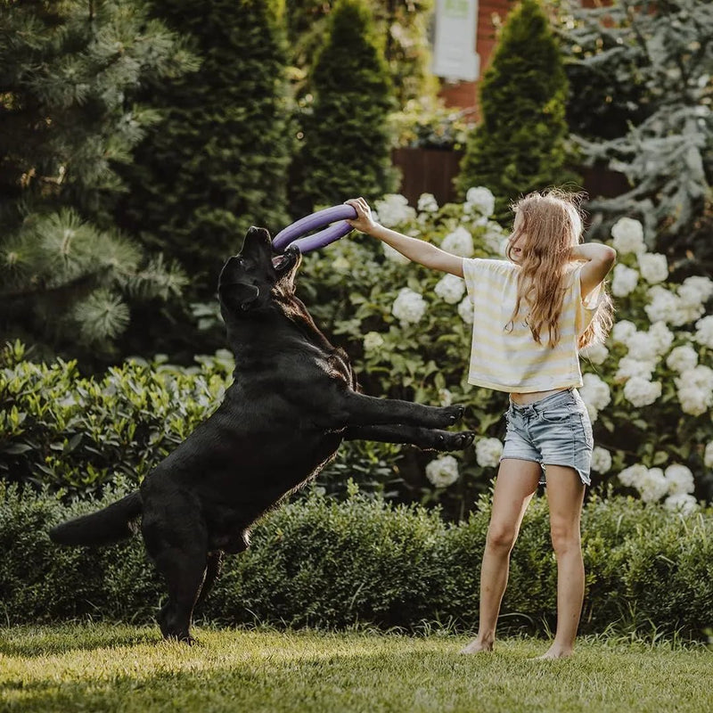 MOOIZA Biotic Probio – Probiotico cães e gatos, flora intestinal, apoio gastrointestinal natural - digestão saudável, fortalece o sistema imunitário - PetDoctors - Loja Online